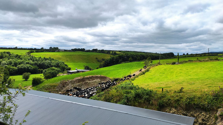 am Waterford Greenway