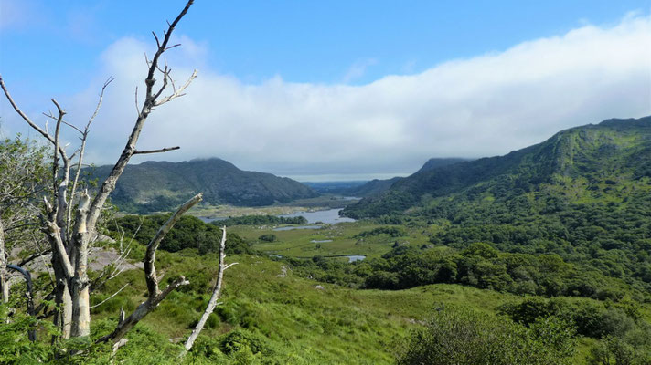 am Ring of Kerry