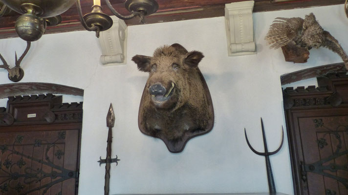 in der Reichsburg Cochem 2018