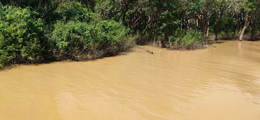 am Tonel-Sap-Fluss im Dorf Kampong Phluk