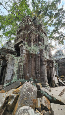 im Urwaldtempel Ta Prohm