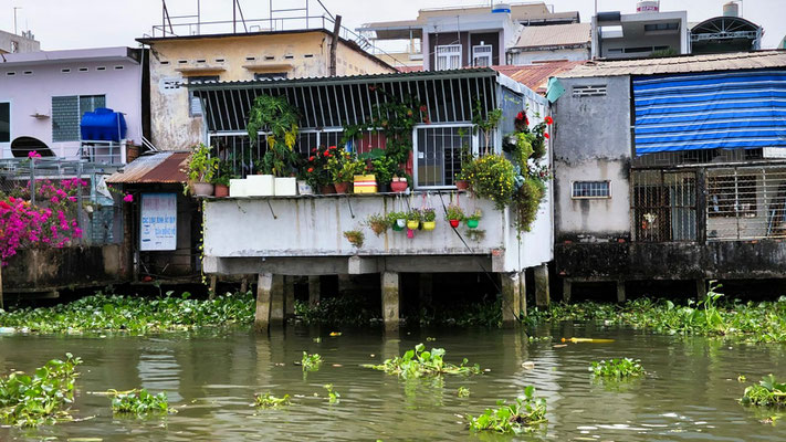 in Phà An Ninh (leider ohne schwimmenden Markt)