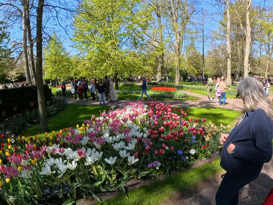 im Keukenhof