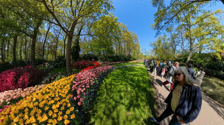 im Keukenhof 2025