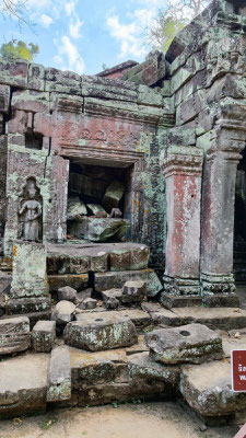 im Urwaldtempel Ta Prohm