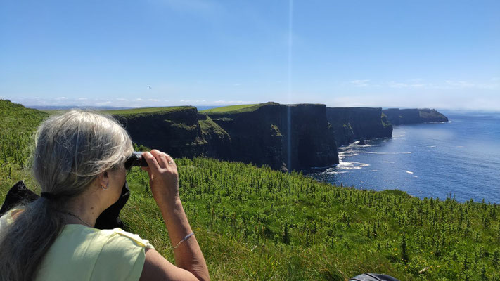 an den Cliffs of Moher