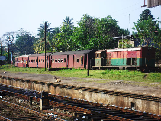 gesehen in Sri Lanka 2007