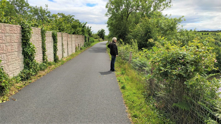 am Waterford Greenway