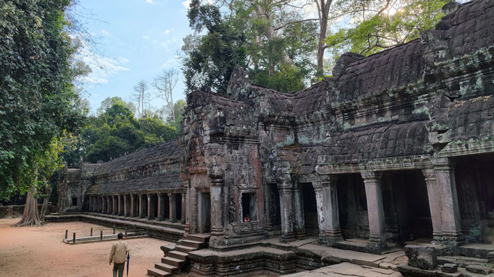 im Urwaldtempel Ta Prohm