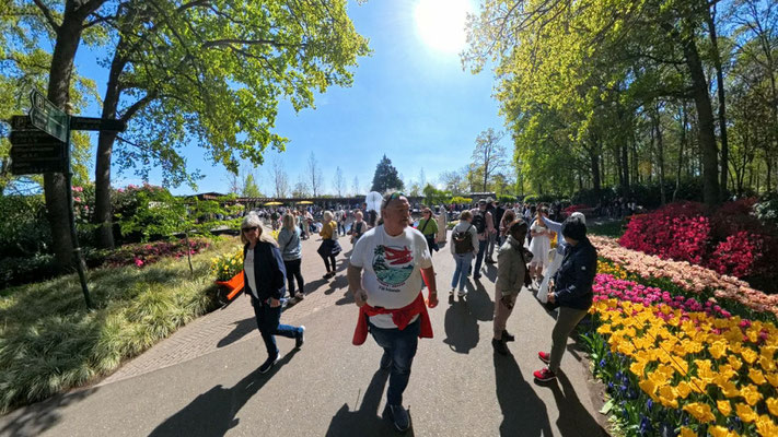 im Keukenhof