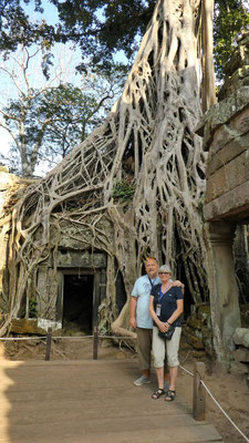 im Urwaldtempel Ta Prohm