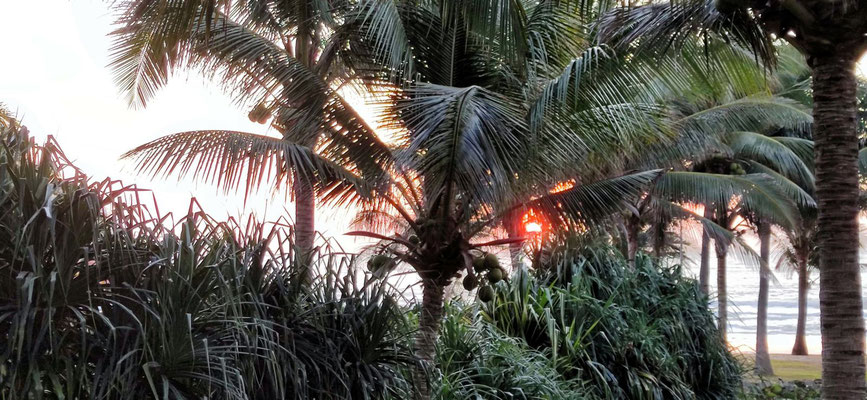 Sonnenaufgang im Pandanus Resort