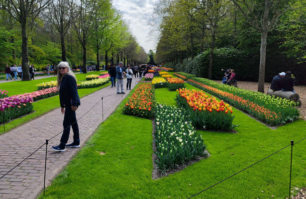 im Keukenhof 2025