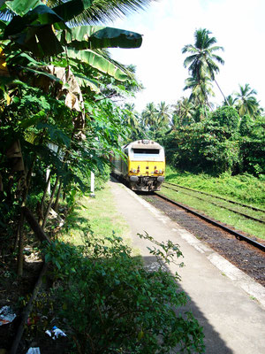 gesehen in Sri Lanka 2007