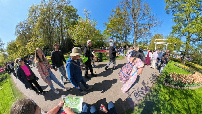 im Keukenhof 2025