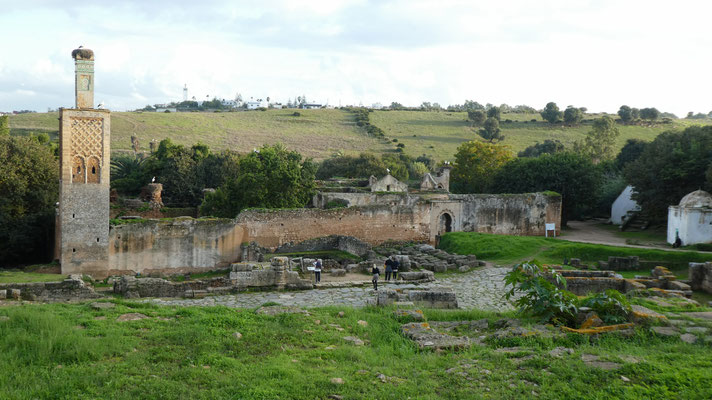 in der Chellah necropolis 2018