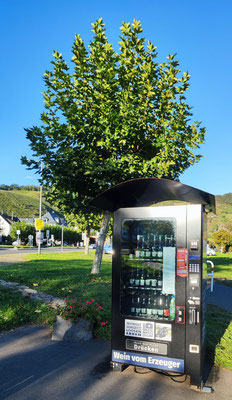 an der Mosel - in Ürzig