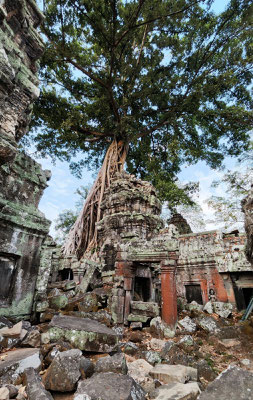 im Urwaldtempel Ta Prohm