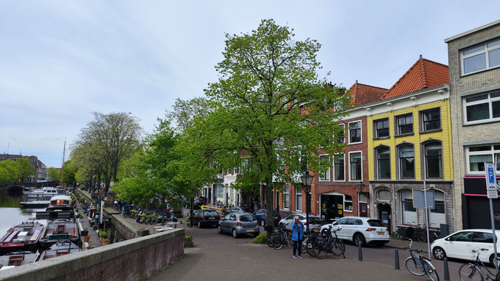 in Den Haag 2025