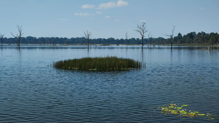 North Baray (Veal Reach Dak)