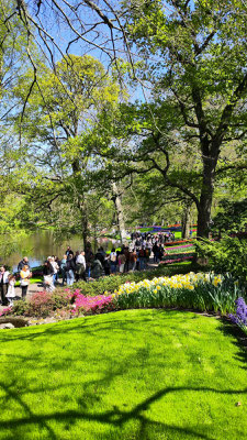 im Keukenhof