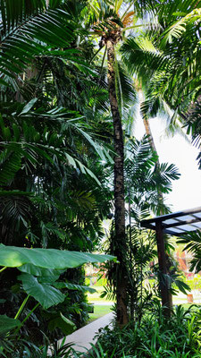 Ramada Resort by Wyndham im Garten