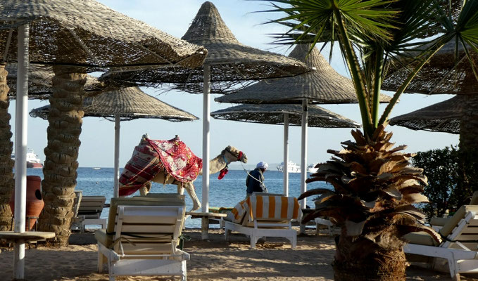 "Giftun Azur Resort" - 2019 - am Strand