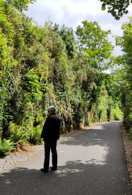 am Waterford Greenway