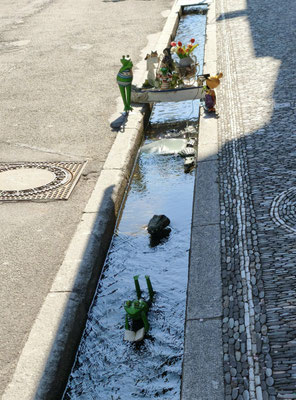 in Freiburg