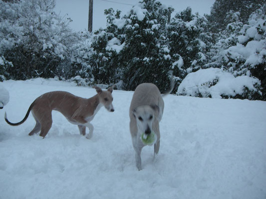 Il y a 3 ans quelques jeux dans la neige