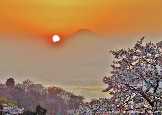 「春の夕暮れ富士」逗子ステキ発見フォトコンテスト グランプリ受賞作品（撮影者：岸野浩平）