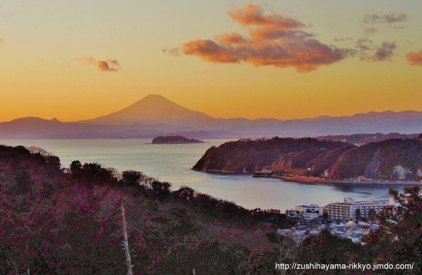 逗子葉桜から夕焼け富士（撮影者：岸野浩平）