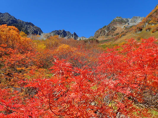 19年の紅葉 北アルプス穂高氷河圏谷 涸沢