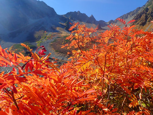 19年の紅葉 北アルプス穂高氷河圏谷 涸沢