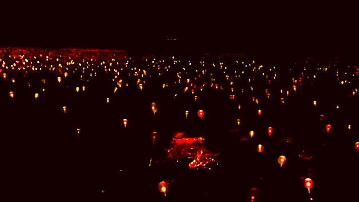 Field of Lights 😊