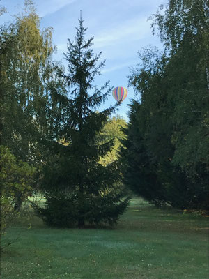 Envie d'un vol en montgolfière, Cheverny
