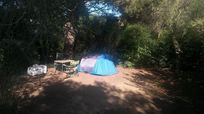 Camping Six Fours : campsite Tamaris