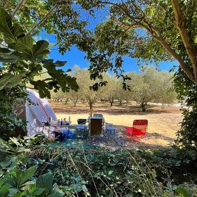 Emplacement "VIP"