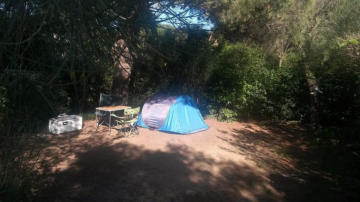 Camping au bord de mer : Emplacement Tamaris