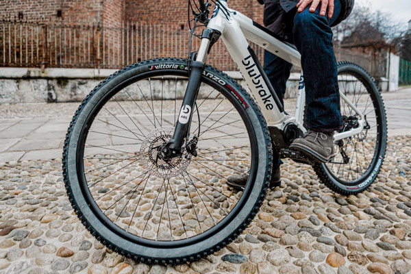 Rappresentazione ABS Blubrake im Detail