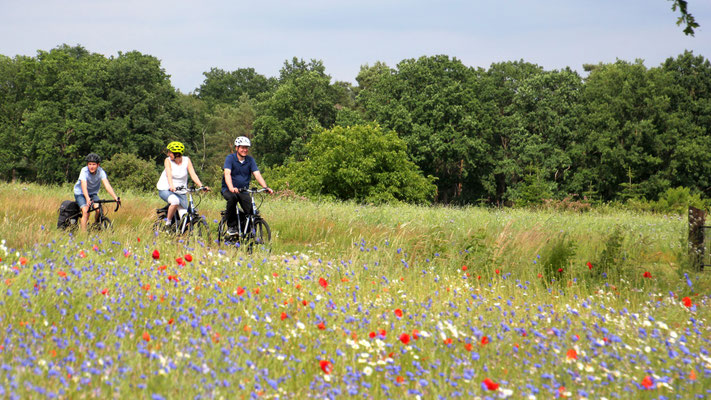 Bei der Fahrt übers Land Neues entdecken und gemeinsam die weite Landschaft genießen. Foto: HeideRegion Uelzen 