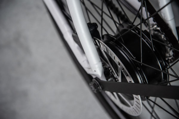 Details Cowboy - Bremsscheibe / Riemenantrieb