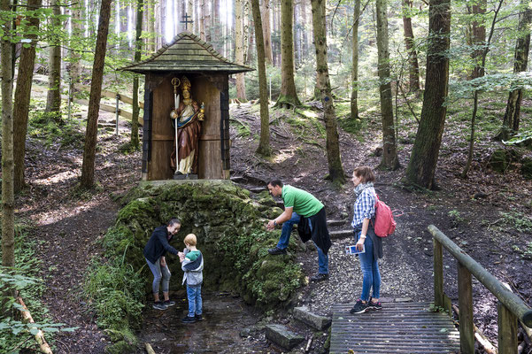 Mystische Stimmung an der Quelle im Altoforst © Dachauer Land, Gregor Lengler