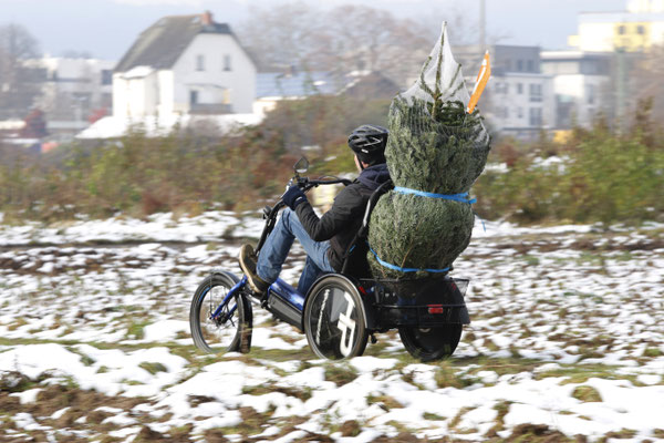  Der Komfort- Chopper Delta tx von HP VELOTECHNIK kann aber auch Weihnachtsbäume transportieren. ©HP Velotechnik