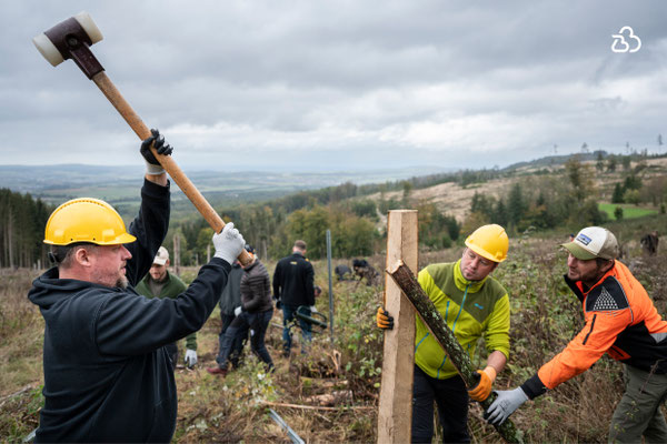 Bergwaldprojekt: im Einsatz für den Wald. © BusinessBike 