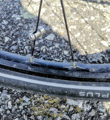 Typischer Felgenriss an der Speichenbohrung – von außen nur schwer zu erkennen. ©velotech.de