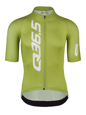 Q36.5 Gregarius Pro Jersey men short-sleeve in pistacchio-green