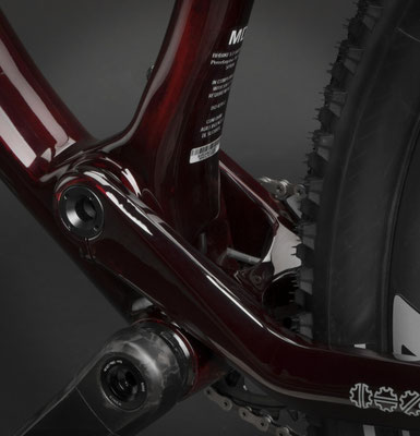 BH Lynx Race Schwinge