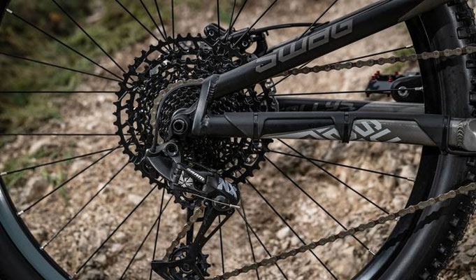 Kellys Swag 10 - 2020