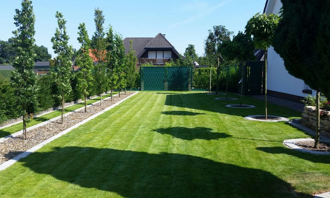 Galerie - Thomas Korte Garten- und Landschaftsbau Geeste